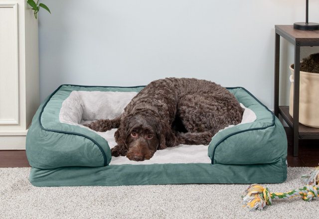 Just for You: Cooling Dog Beds